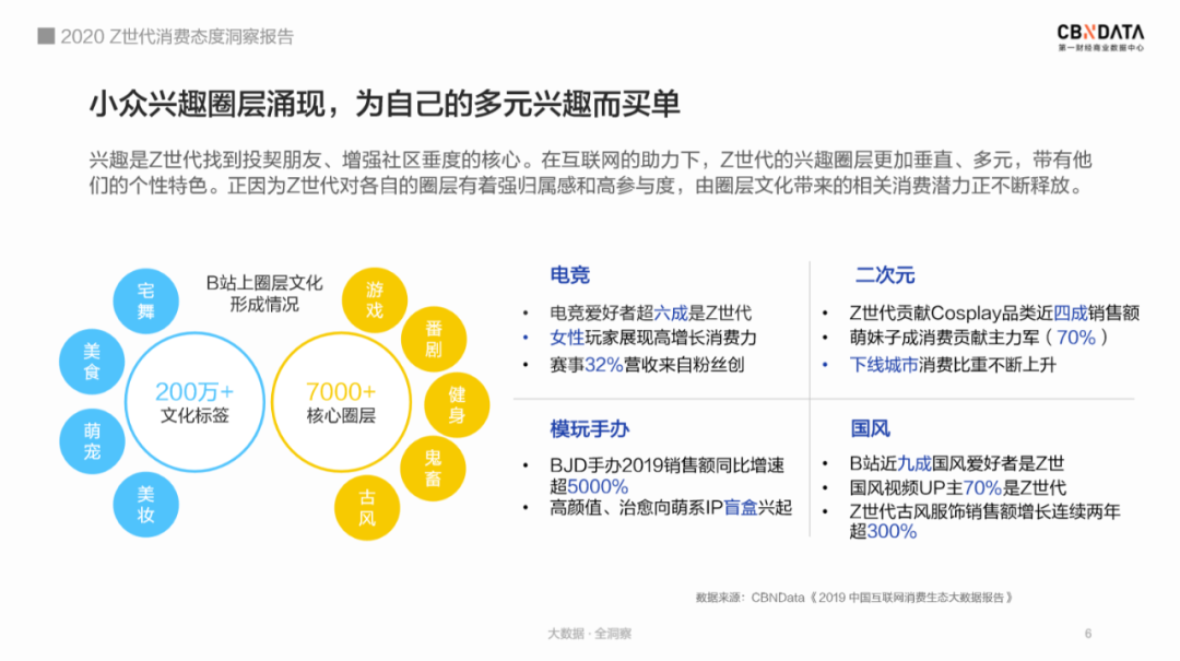 2020z世代消费态度洞察报告以兴趣划圈剁手式消费