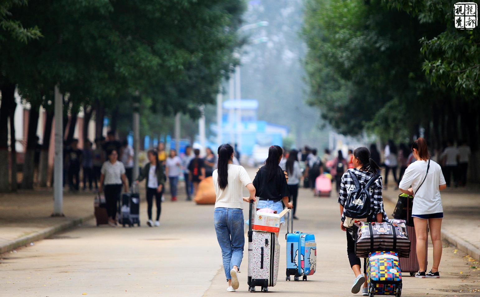 你嗅到了校园市场的哪些商机？