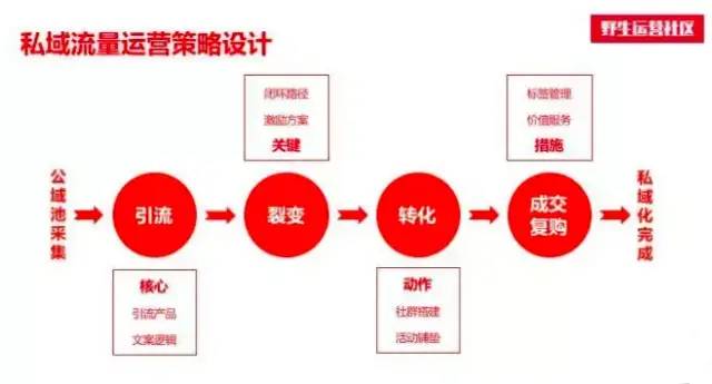 11000字全面揭露私域流量本质，手把手教你做用户增长