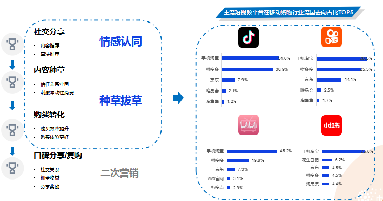 短视频种草,直播电商,视频营销