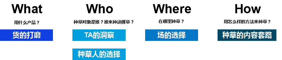 短视频种草,直播电商,视频营销