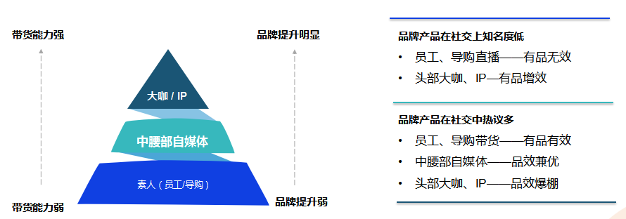 短视频种草,直播电商,视频营销