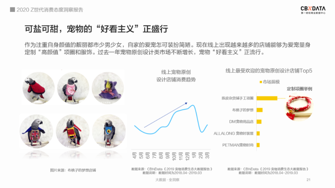 《2020 Z世代消费态度洞察报告》以兴趣划圈，剁手式消费